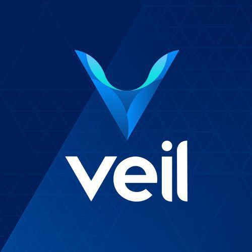heiszayd3's tweet photo. Need good privacy tech? 

$VEIL privacy tech provides tons of benefits with the implementation of a hybrid Proof-Of-Work and Proof-Of-Stake consensus system, that provides both fair and wide distribution and an unprecedented level of protocol security.

#PrivacyFirstAlways https://t.co/O7NsxsaFr3