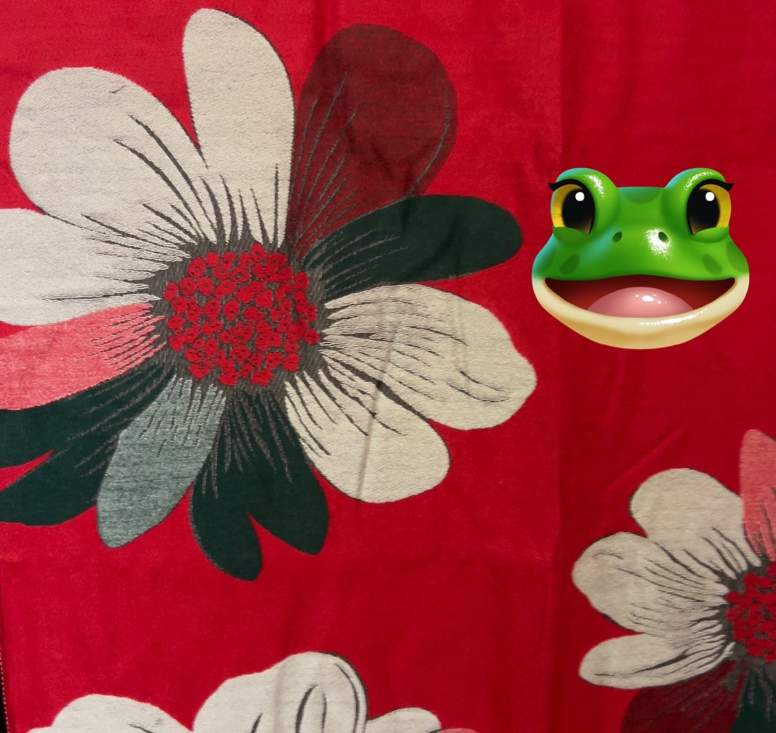 天使な舞い降りて着物を干して行った✌️🐸