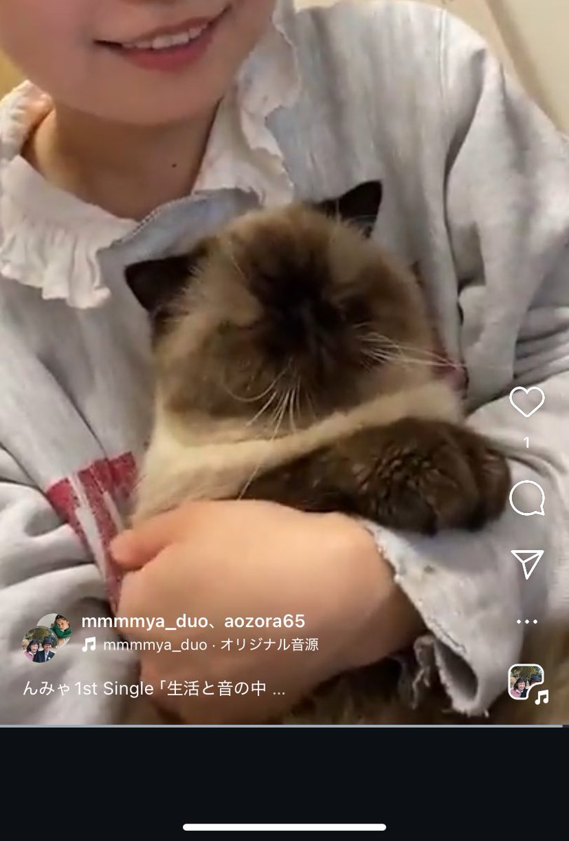昨日はインスタライブをしました(^｡^)
後半の猫が可愛いのでぜひアーカイブをご覧ください😌（歌ってます）

instagram.com/mmmmya_duo?igs…