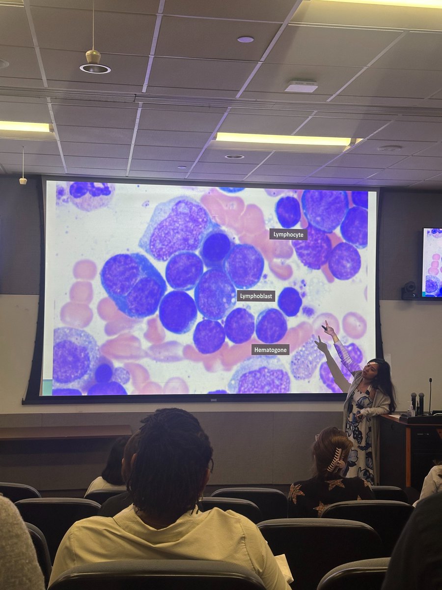 UTHealth Houston Pathology (@uthoustonpath) on Twitter photo UTHealth Houston hosted the 4th and final day of the Houston Society of Clinical Pathologists (HSCP) <a href="/HouPathSoc/">Hou Soc of Clin Path</a> Board Review Course today! Featuring Dr. Mai <a href="/Brenda_Path/">Brenda Mai, MD</a> here explaining key hematology topics. 🩸🔬 UTHealth Houston hosted the 4th and final day of the Houston Society of Clinical Pathologists (HSCP) <a href="/HouPathSoc/">Hou Soc of Clin Path</a> Board Review Course today! Featuring Dr. Mai <a href="/Brenda_Path/">Brenda Mai, MD</a> here explaining key hematology topics. 🩸🔬