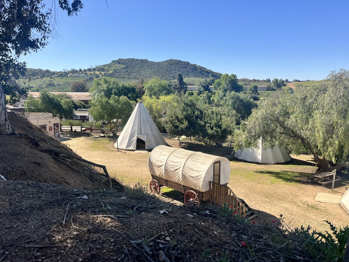 Cernovich tweet media