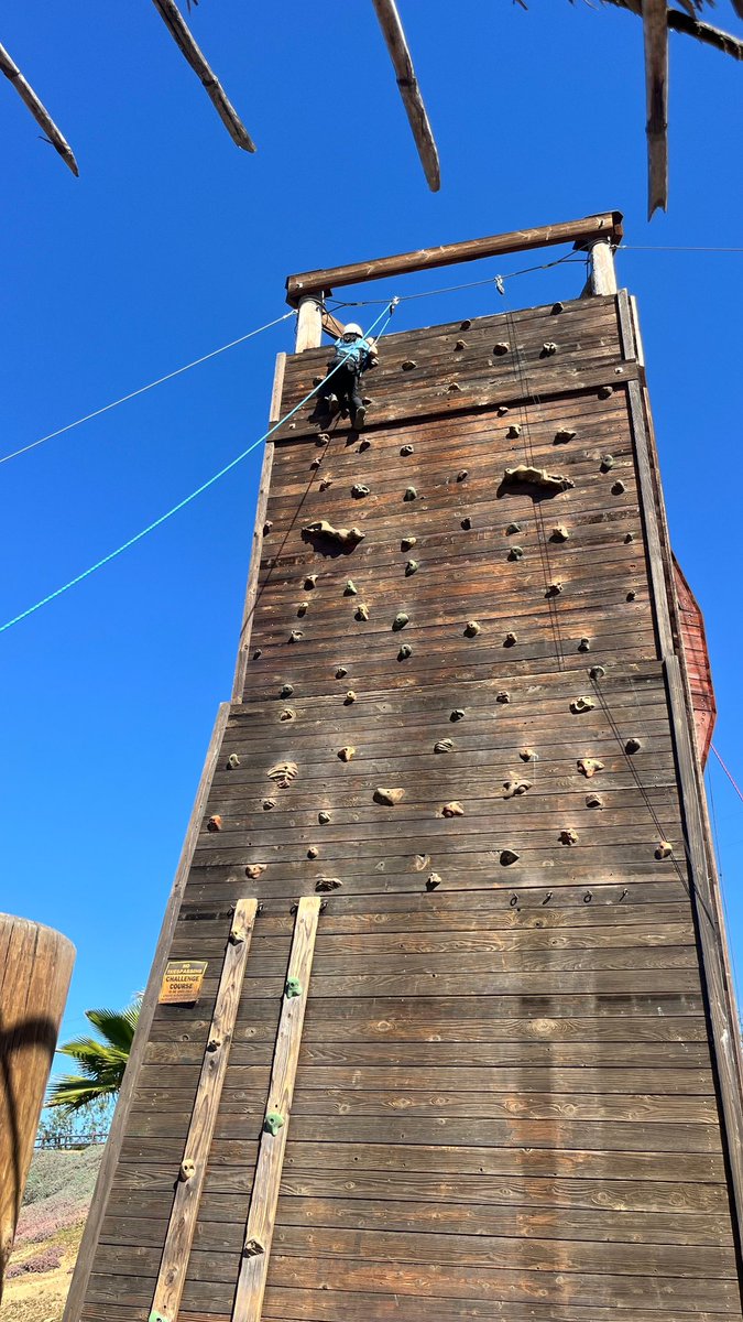 Cernovich tweet media