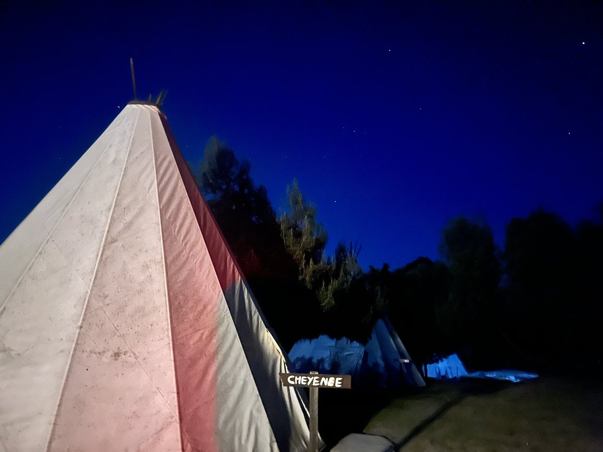 Cernovich tweet media