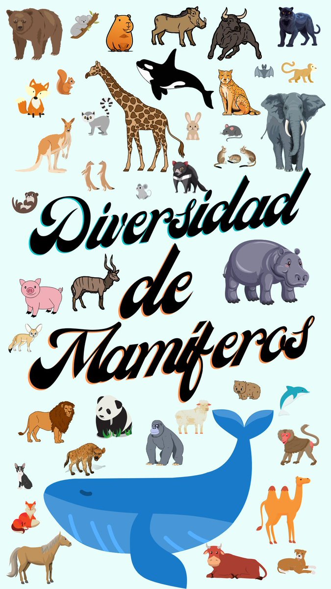 Una pequeña muestra de la #biodiversidad en #mamíferos

#diversidad #biodiversity #mammals #diversity #biósfera 
instagram.com/p/C-tHGajIk-0/