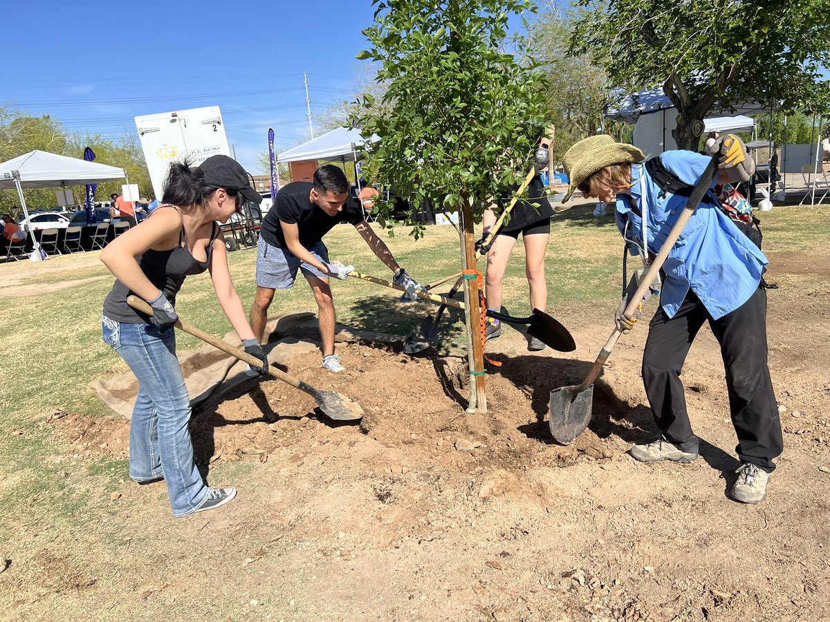 keeptempebtfl's tweet image. 🌳 What a day at the Tempe Treasured Trees Tree-A-Thon! 

19 volunteers joined us &amp;amp; @Tempegov, planting 25 trees and giving 27 hours of service. 

We also unveiled the Tempe Treasured Trees program, celebrating 30 remarkable trees for their beauty, history, &amp;amp; eco-value. 

Big…