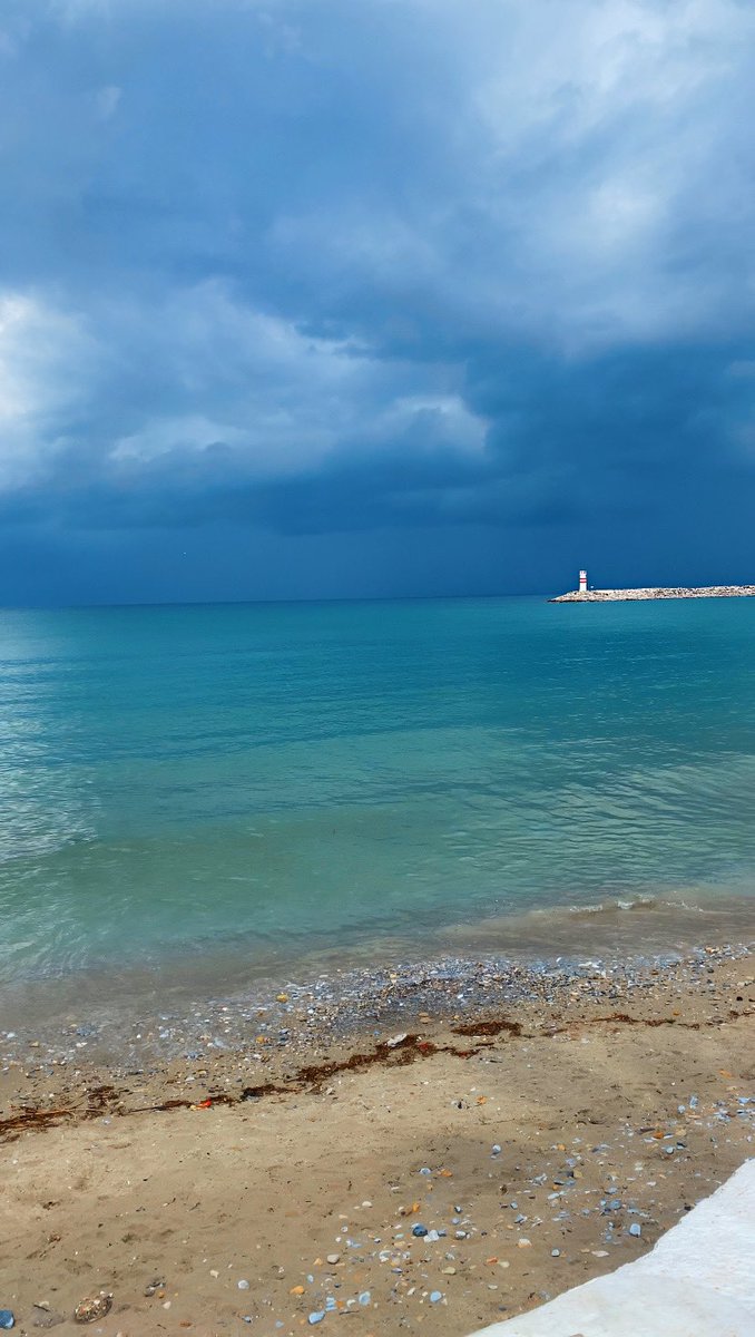 “Benim derdim su birikintisinin sınırları değil, benim derdim denizi düşünmemiş balıklarla yaşamak.”
Samed Behrengi