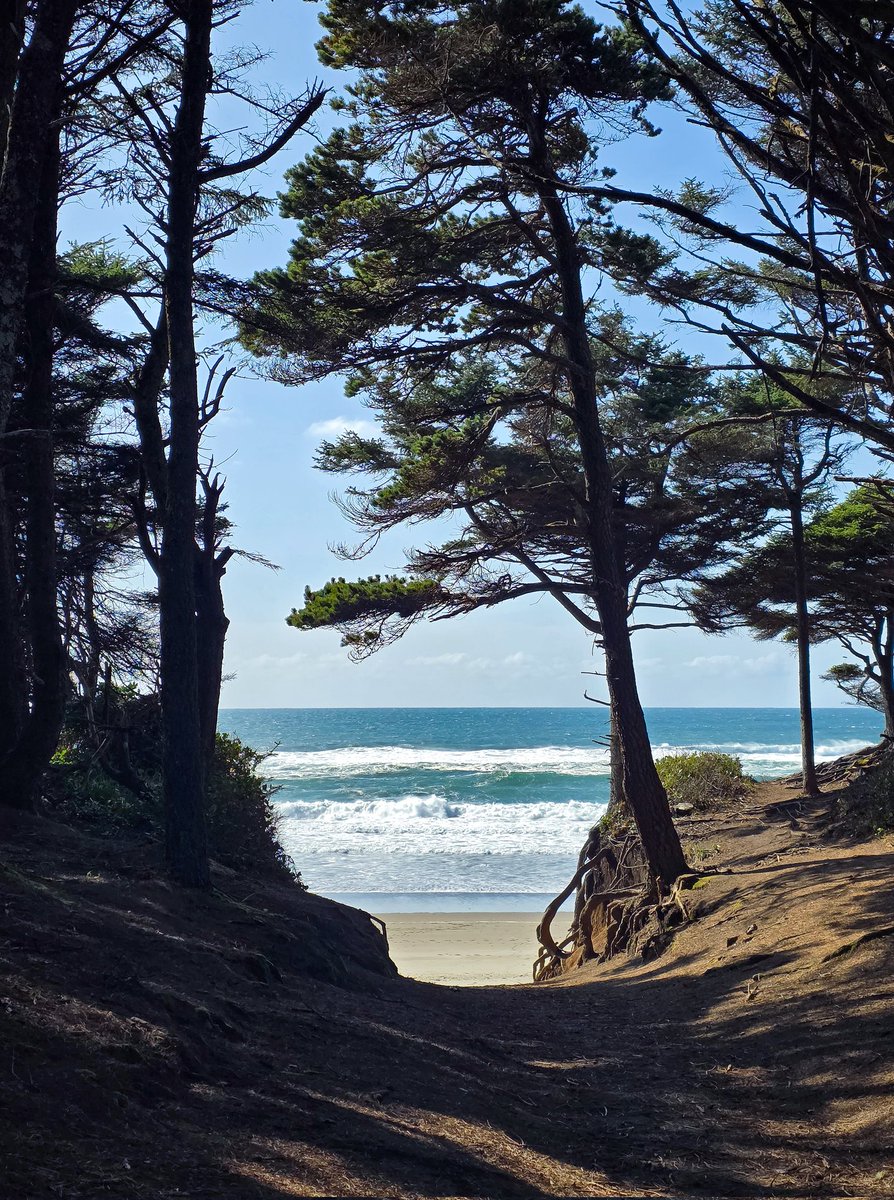 CrowPudgy's tweet photo. Went to the coast and a river yesterday with Hugo Beans and my oldest son. Got to hang out with my mom. Today we visited Hugo's "cousin" Violet at the new house her mom moved to. He's about as tall as her, but 15 pounds lighter and not as muscular yet since he's only 5 months https://t.co/B5Fz1TLZh3