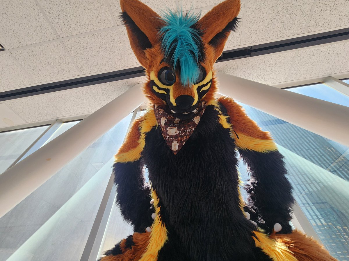 NauWusky's tweet photo. Heading back down in the big guy! Come say hi! https://t.co/EBCFAQZIuc