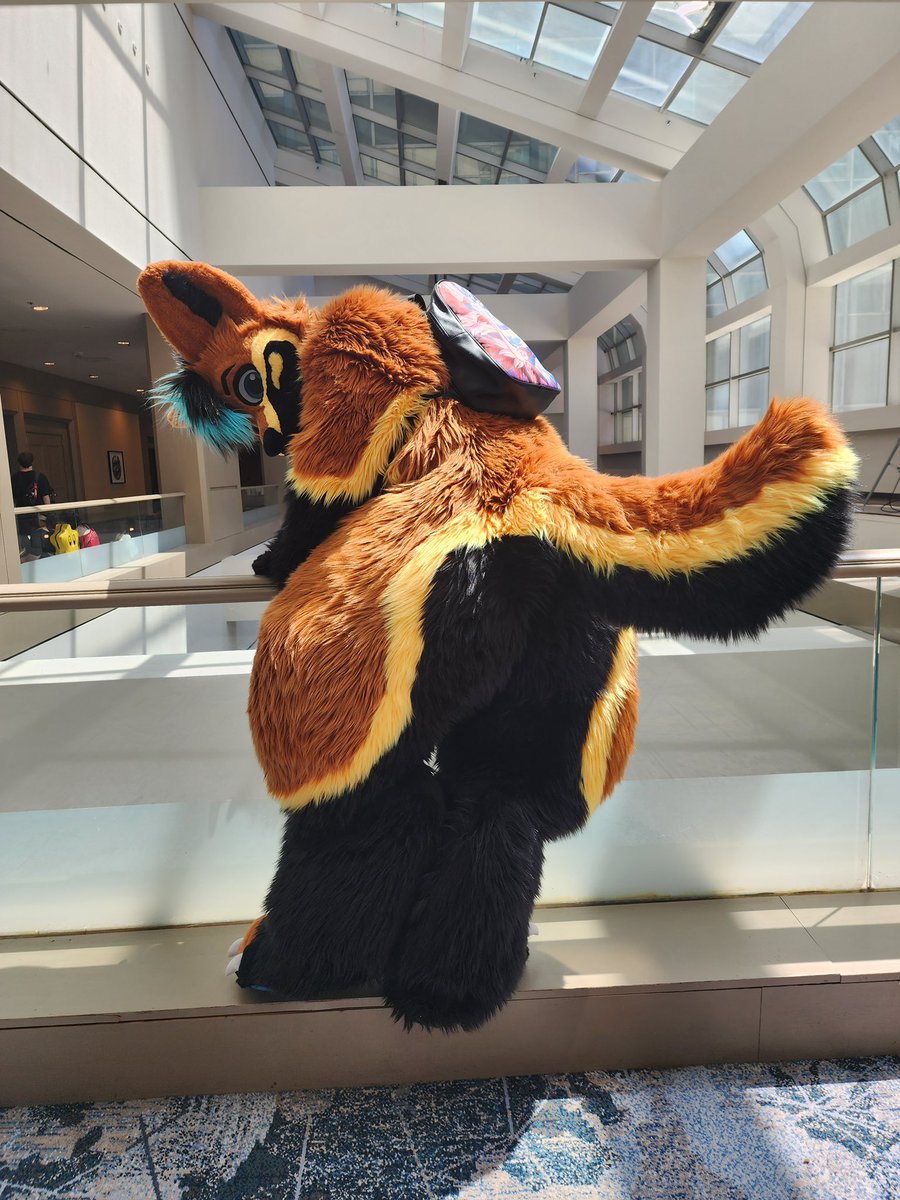 NauWusky's tweet photo. Heading back down in the big guy! Come say hi! https://t.co/EBCFAQZIuc