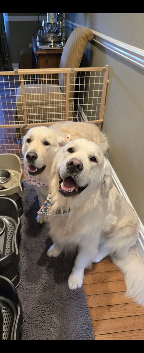 Kevin Reilly tweet media