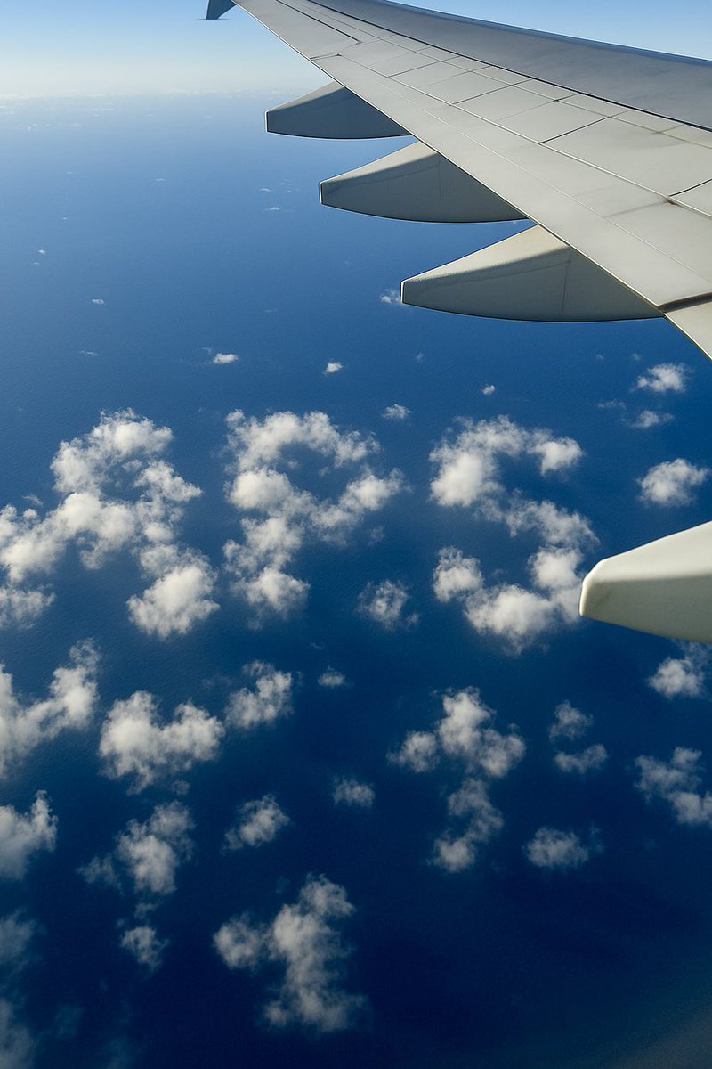JoshuaWPate's tweet image. Currently flying to Melbourne for the Australian Pain Society sold-out conference!
Pretty excited to speak at today’s paediatric pre-conference workshop, tomorrow’s symposium, & chair Wednesday’s plenary session (feat. live on stage ‘One Thing’ surprises!).
See 700 of you soon!