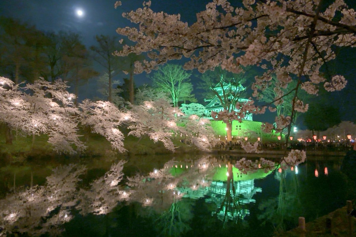 高田城址公園 第100回観桜会 🌸