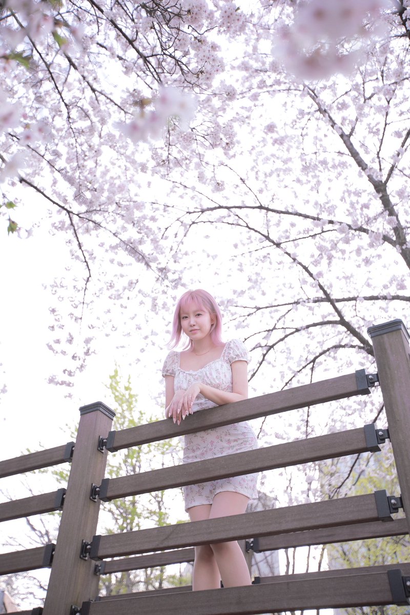 🌸벚꽃이 지기전 봄 보러 일찍 일어나봤어요🌸
이번에는 탄천으로 갔는데 사람들도 많고 너무 예쁘더라구요
다시 날이 추워졌는데 우리 맘은 봄으로 가득 채우자구요! 💕

Spring has come. I hope spring has come to your hearts, too
I post a lot of uncalibrated pictures on Petrion🌸