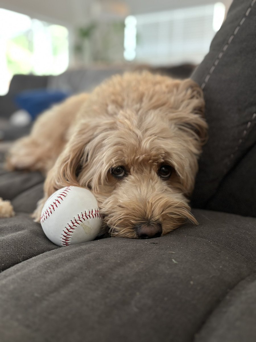 Collyn Taylor tweet media