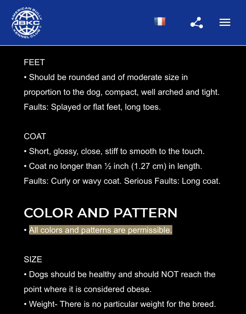 ReignPBK's tweet image. Merle/ Blotched American Bullies can now compete in ABKC conformation shows.😁 #Americanbully #Bully #Bullies #Merle #ABKC