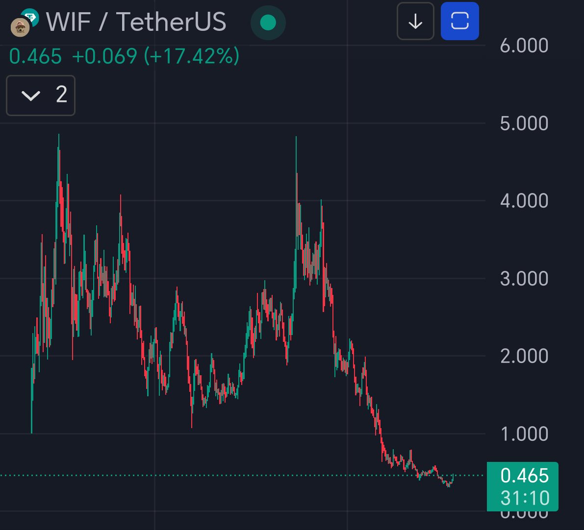 "The dog... has a haattttt hahahahahaha"
$WIF