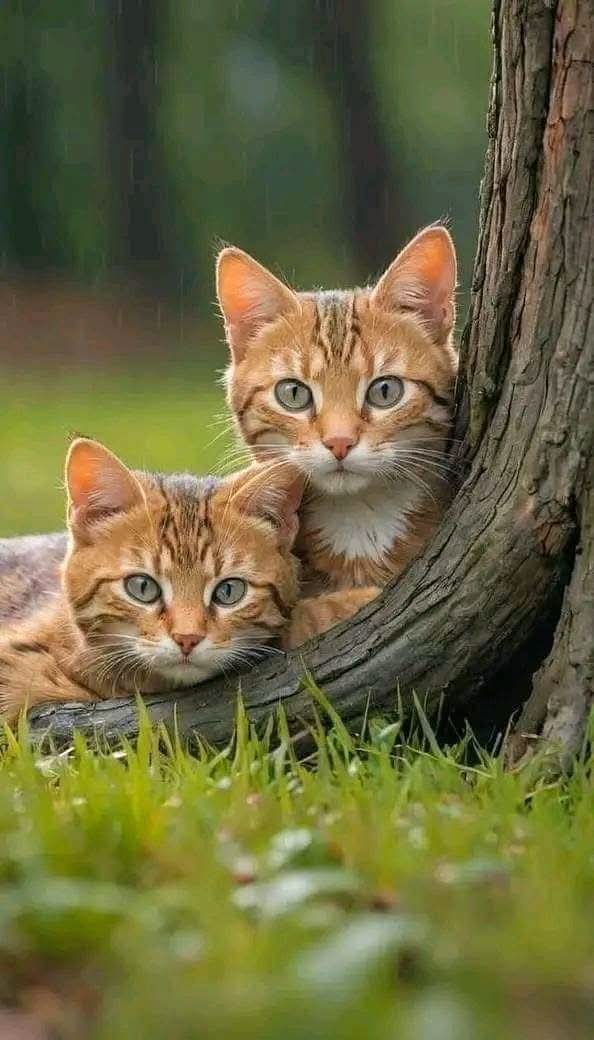 𝓐𝓭𝓻𝔂 ❤ tweet media