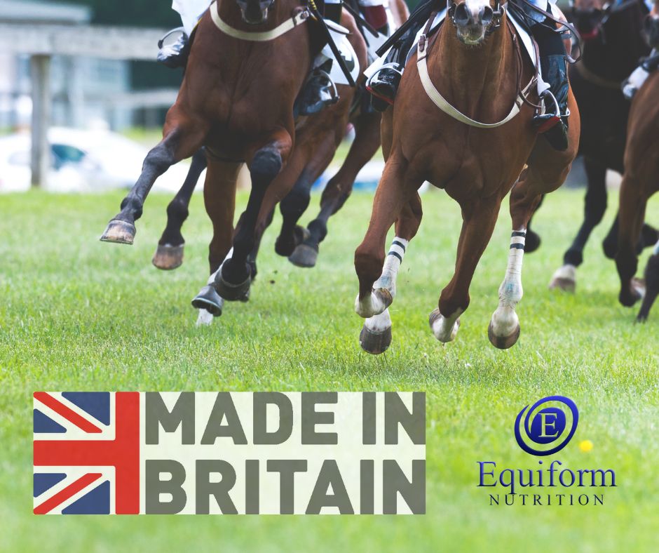 equiform's tweet image. 🏆 Stay Calm – Keep Competition Nerves in Check 🐴

✅ Supports relaxation before and during competition
✅ Helps maintain focus under pressure
✅ Encourages a calm, confident performance

Give your horse the mental edge with Stay Calm! 🌿✨

equiformnutrition.co.uk/shop/calming-r…