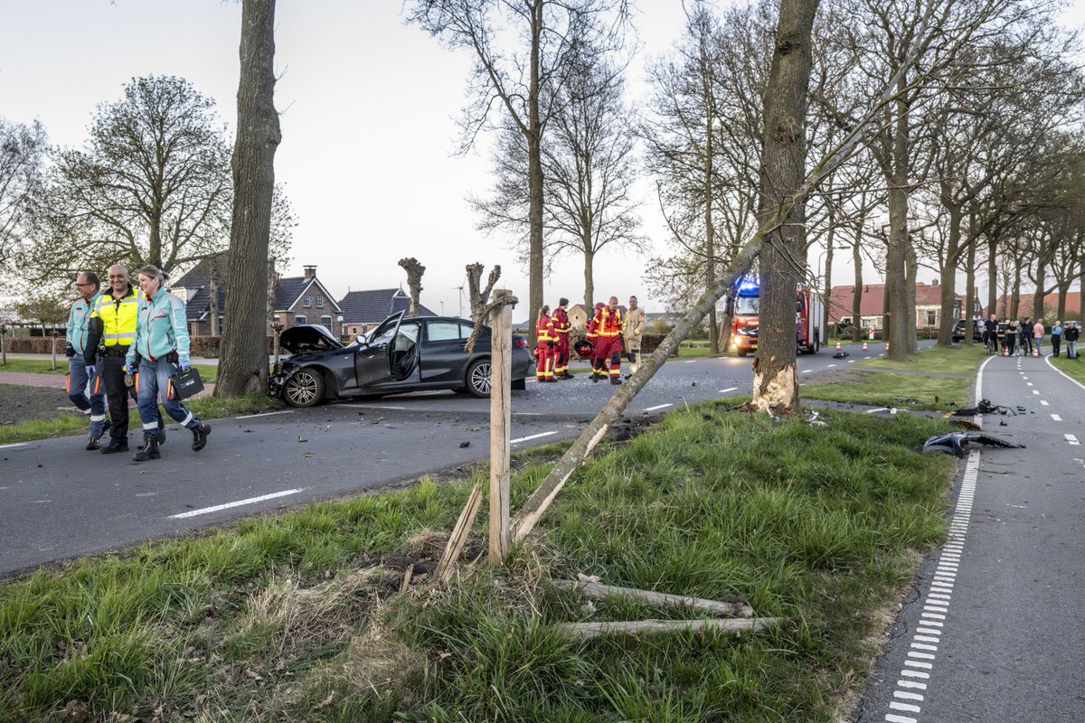 Alcoholmobilist ramt boom in flauwe bocht