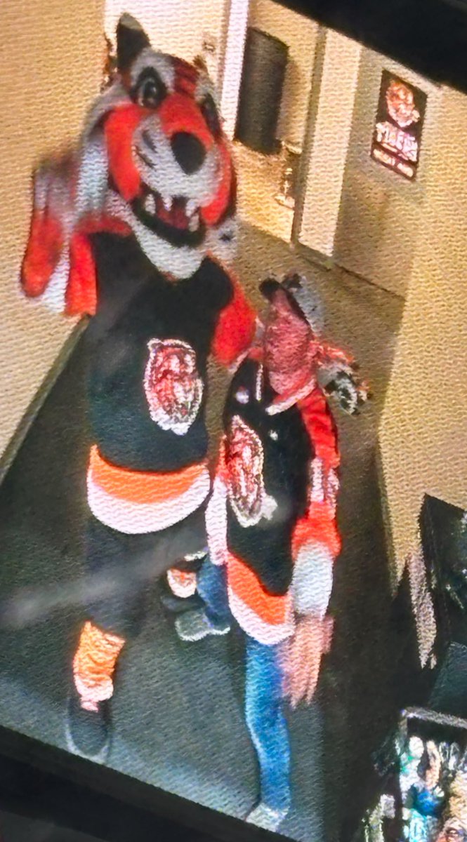cindyleethatsme's tweet photo. @JChristianson15 #GoTigersGo 🐯 https://t.co/jUV58uEctD