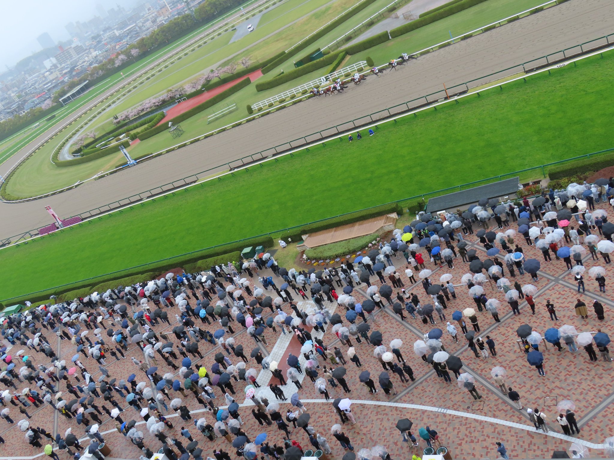 日刊ゲンダイ 競馬 on X: 日刊ゲンダイ 競馬 on X: