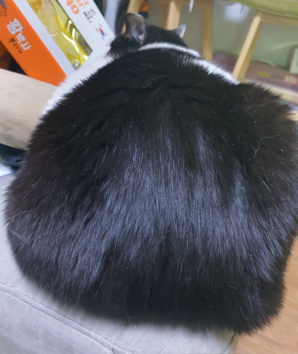 booooooeeeng's tweet photo. 와궁뎅이대빵커 https://t.co/JfpOtLEKqq