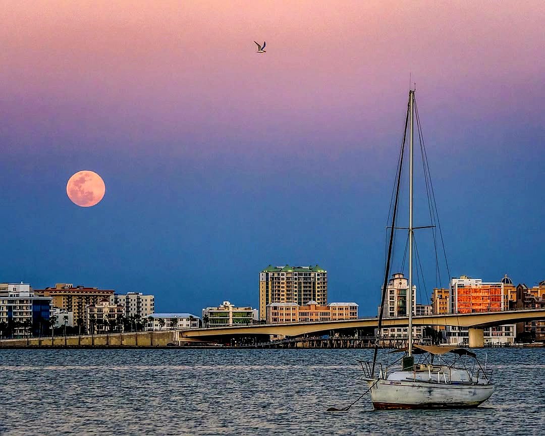 DLCTRAVELER's tweet photo. "Pink Moon," symbolizes the return of life & resurgence of nature after winter. It's named pink wildflowers that bloom "Pink Moon" themes of renewal, healing,emotional growth, encouraging a time for reflection letting go of old patterns. #pinkmoon #pinkmood #aprilmoon https://t.co/chiZCDgD25