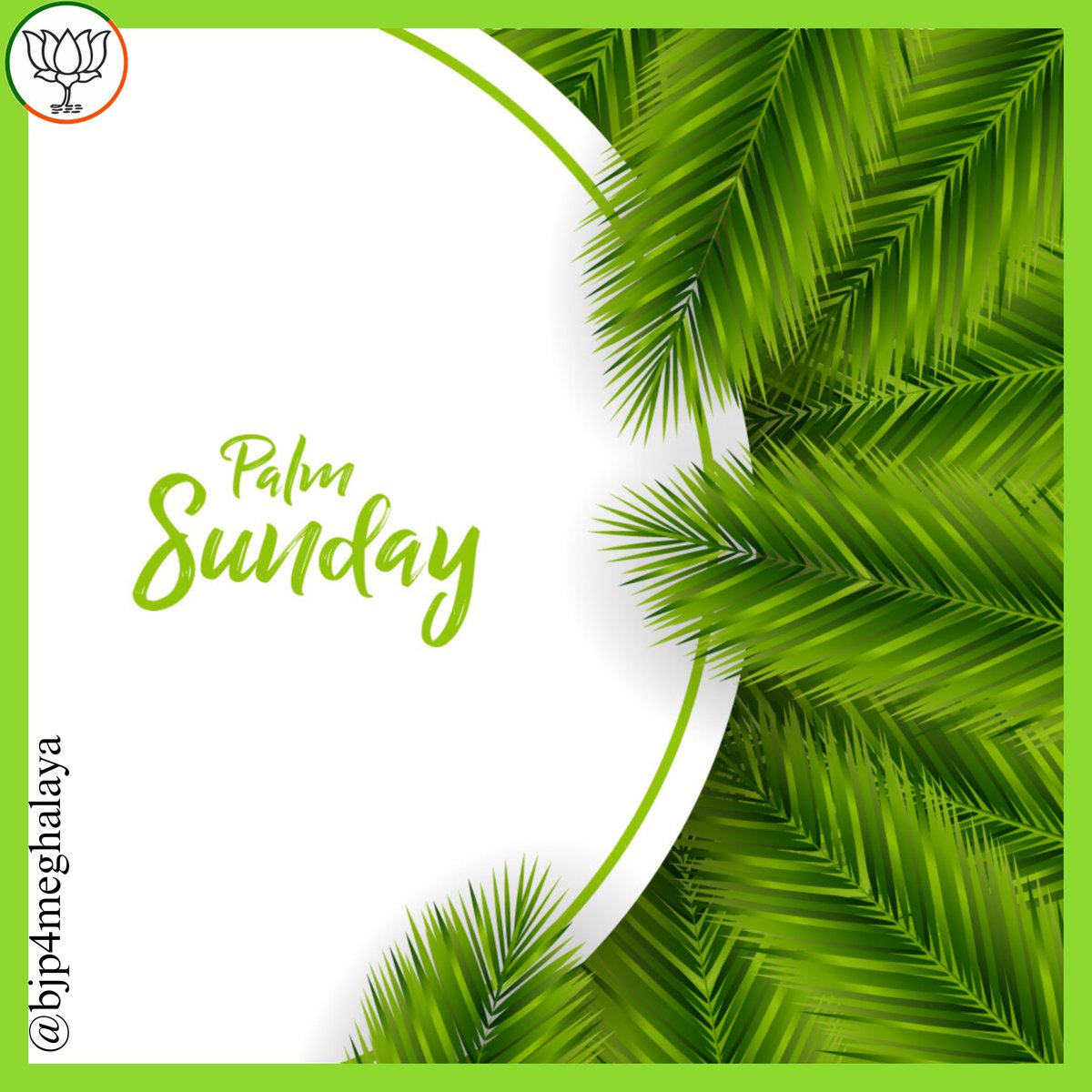 Have a blessed Palm Sunday !

#PalmSunday2025