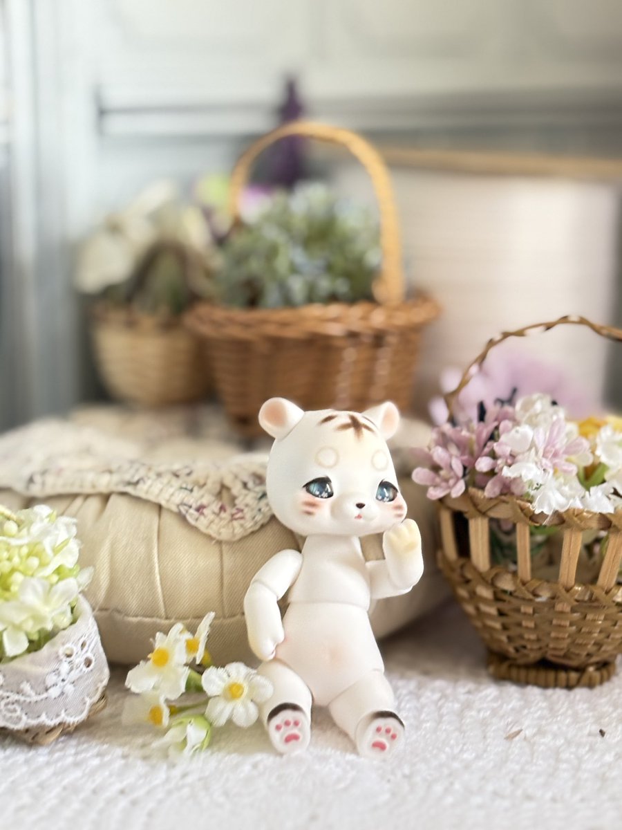 我が家にきた可愛いPoiちゃん🐯❄️
メイク可愛すぎて見る度ににまにま(⌯˃̶᷄ ⁻̫ ˂̶᷄⌯)

#cocoriang