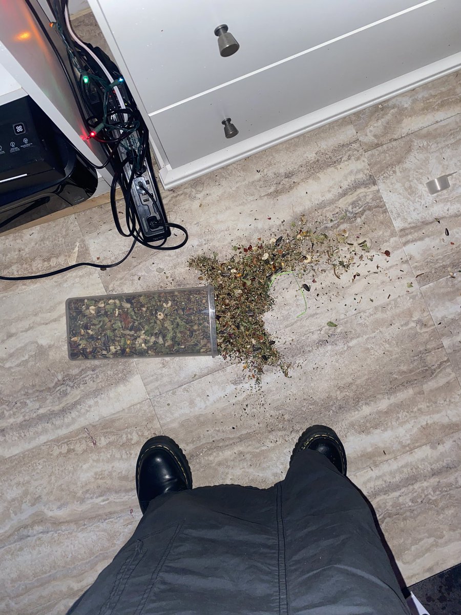 high asf with the house to myself n this shit happens. i think i might Actually do it this time guys