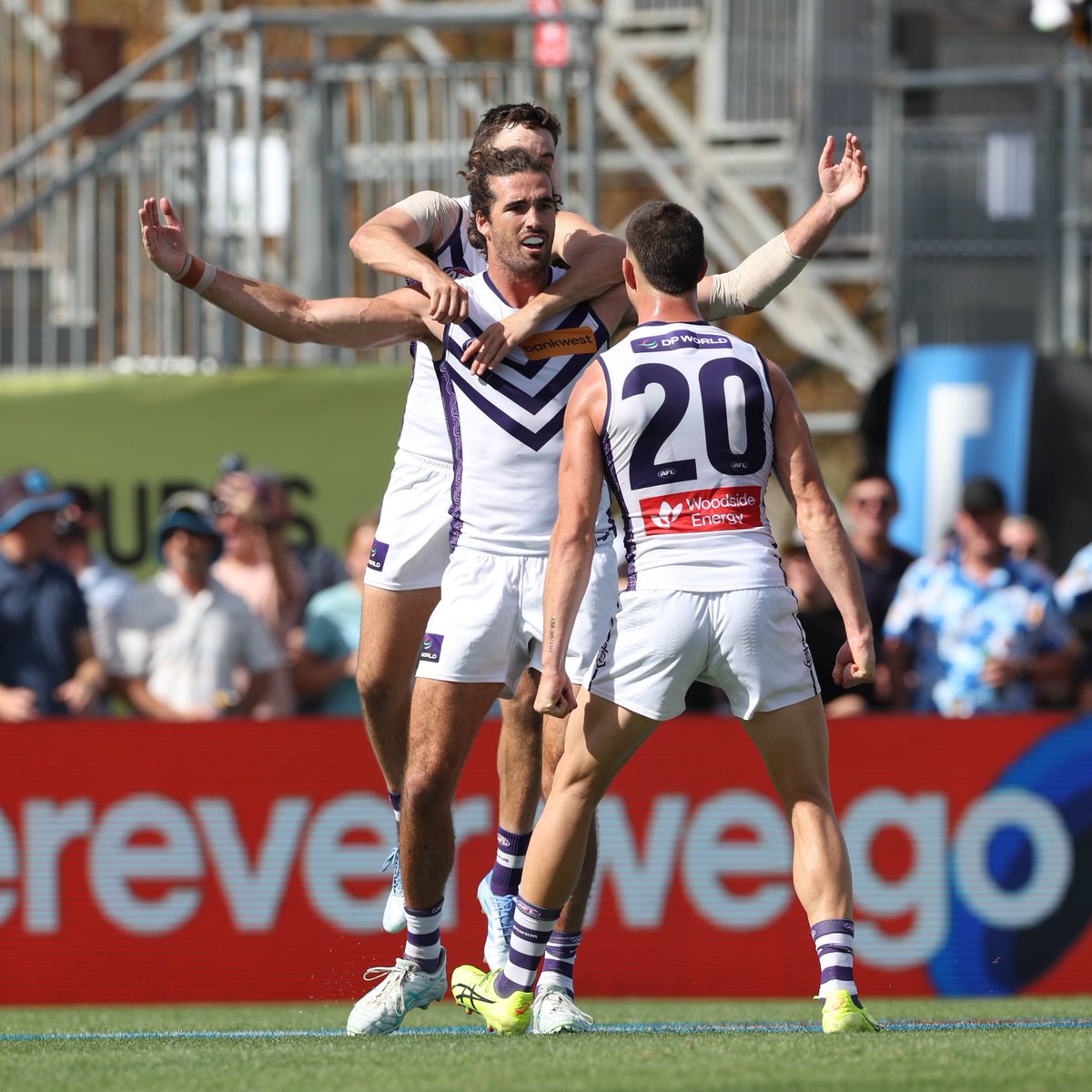 freodockers's tweet photo. something special about an Alex Pearce goal 🤤

⚓️ 80 🐯 45

#foreverfreo | #AFLTigersFreo https://t.co/HxQSrfX4sX