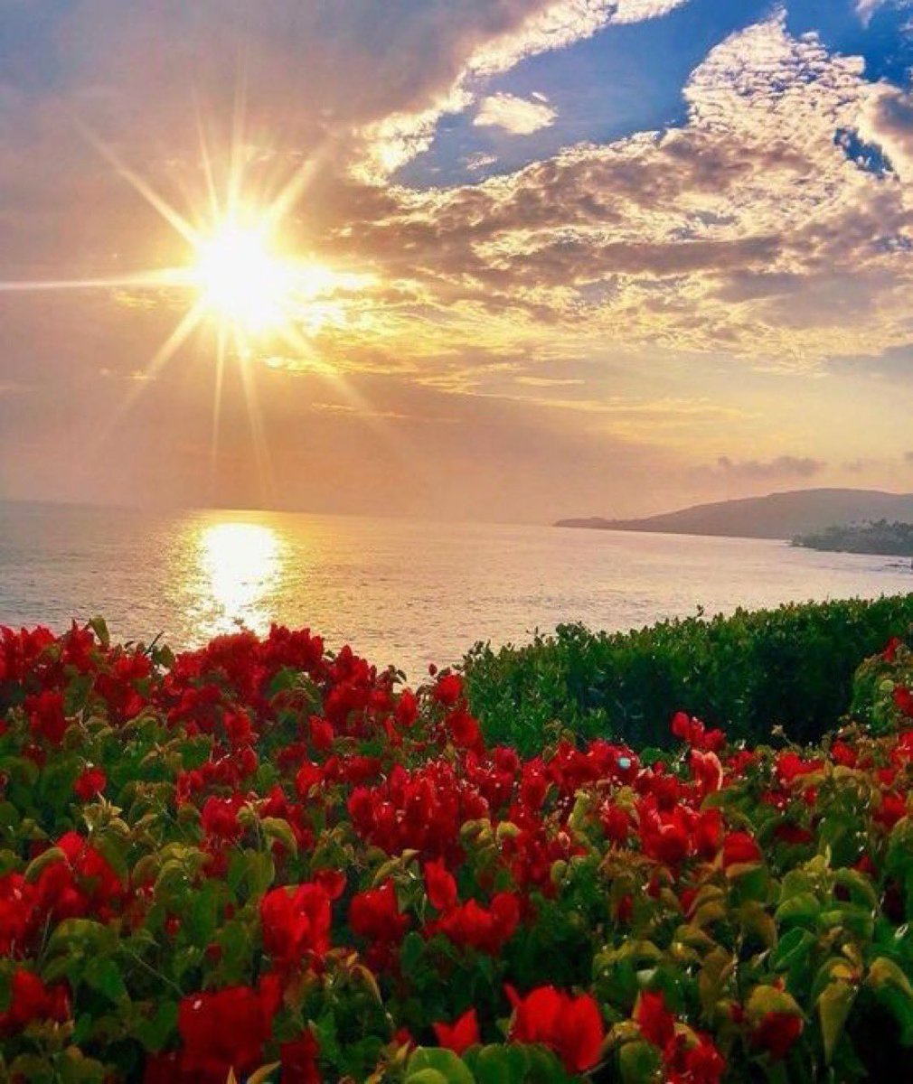 ♡وتشرقُ الشمسُ في الدنيا لتُخبرنا..
أن الصباح مليءٌ بالبشاراتِ

♡ماضاقت الأرض إلاَّ جائنا فـرَجٌ.. 
كالغيث يهطلُ من ربّ السَّماواتِ 
---------------
••اللهم إنا نسألك هداية وتوفيقا، وعافية، وسلامة من كل فتنة.
✨

 #صباح_الخير_والسعاده