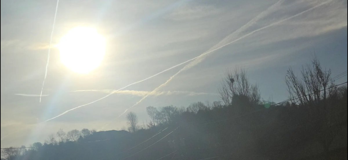 Why the fuck is nobody in government doing anything about this?  I'm sick of it, im calling the new administration out.  This needs to stop, the chemtrails worldwide is poisoning us and killing millions on bees and insects.  This above all should be number 1 priority!