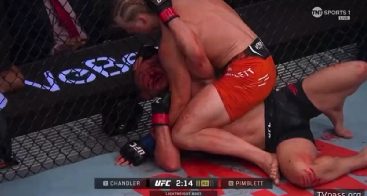 Hang it in the louvre #UFC314