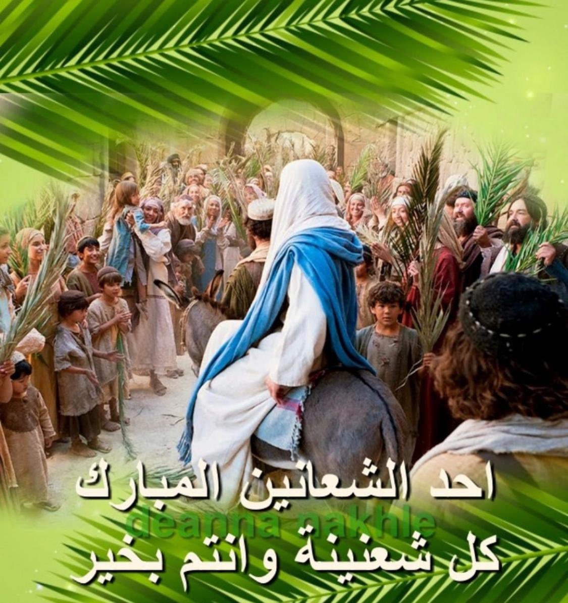 asalrabadi's tweet photo. Happy Palm Sunday 🌿🌿 https://t.co/itJVq93Utn