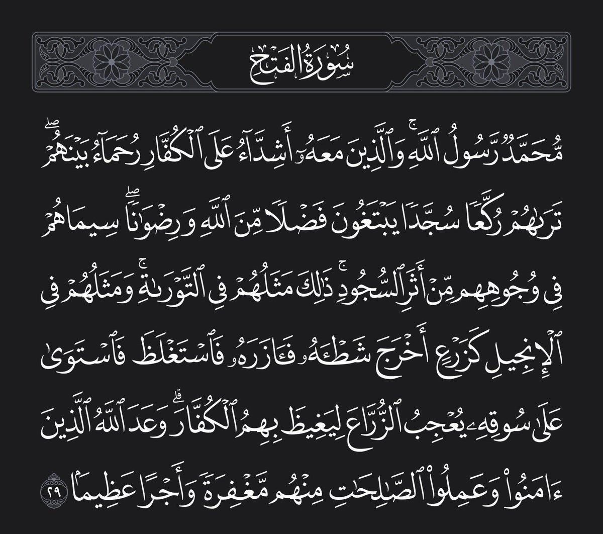 AMARA Trabelsi (@amara_trabelsi) on Twitter photo 