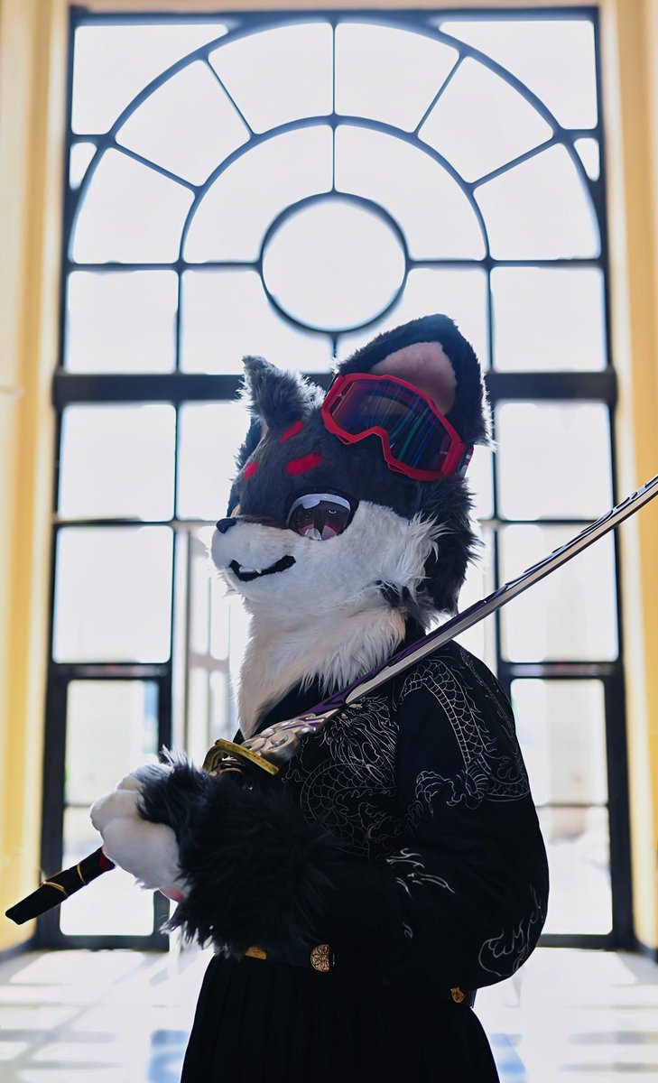 正式进入furry毛毛领域！