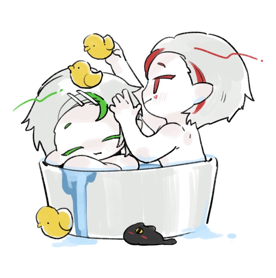 🔻喵太 𝗡𝗘𝗞𝗢𝗧𝗔.🔻 tweet media