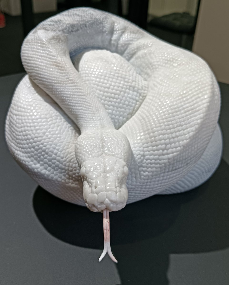 AQUA_SiON's tweet image. ショーウインドウでお出迎えしてくれる PythonⅩⅩⅩ🐍✨

もちろん、舌🐍👅も大理石です！✨

#佐野藍
#PythonSeries
