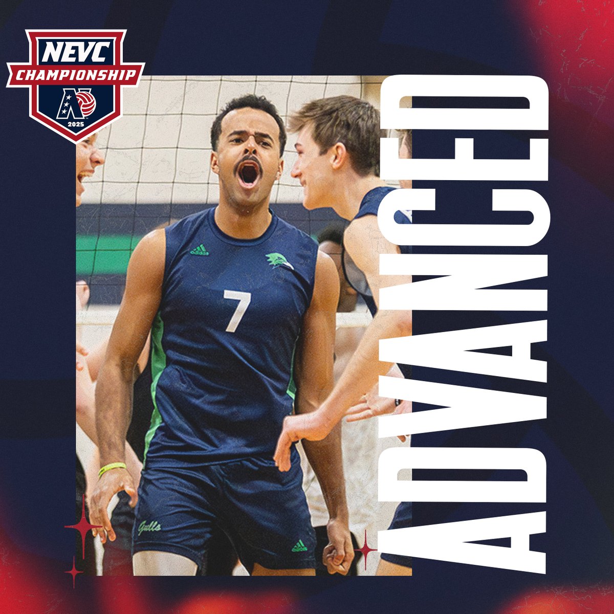 New England Volleyball Conference tweet media