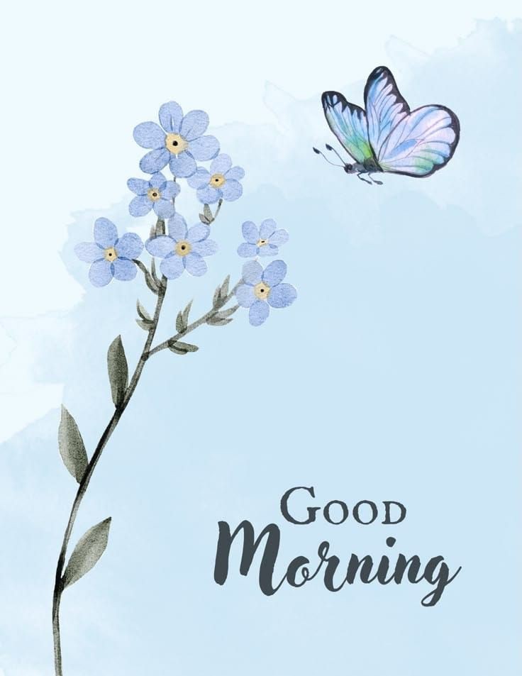 sawan_sing_h's tweet photo. Start your day with a grateful heart and positive vibes. 
Good morning..! https://t.co/ow657FvQ7A