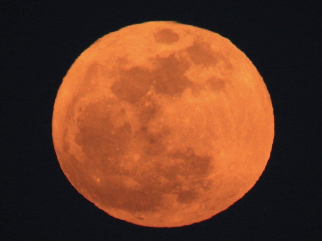 mcclanahanjanet's tweet photo. My pink moon at 8:25
⁦@Kentuckyweather⁩ https://t.co/OXZOdCB0tS