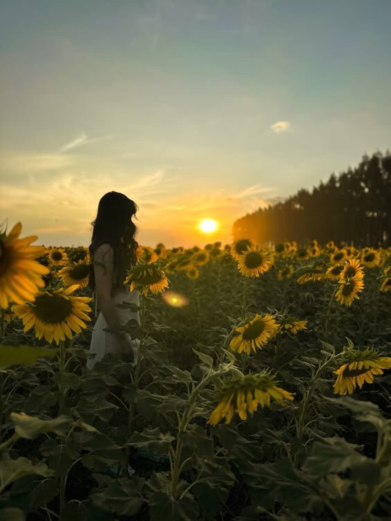 Boa noite girassóis 🌻 #DomingoPazEAmorSDV