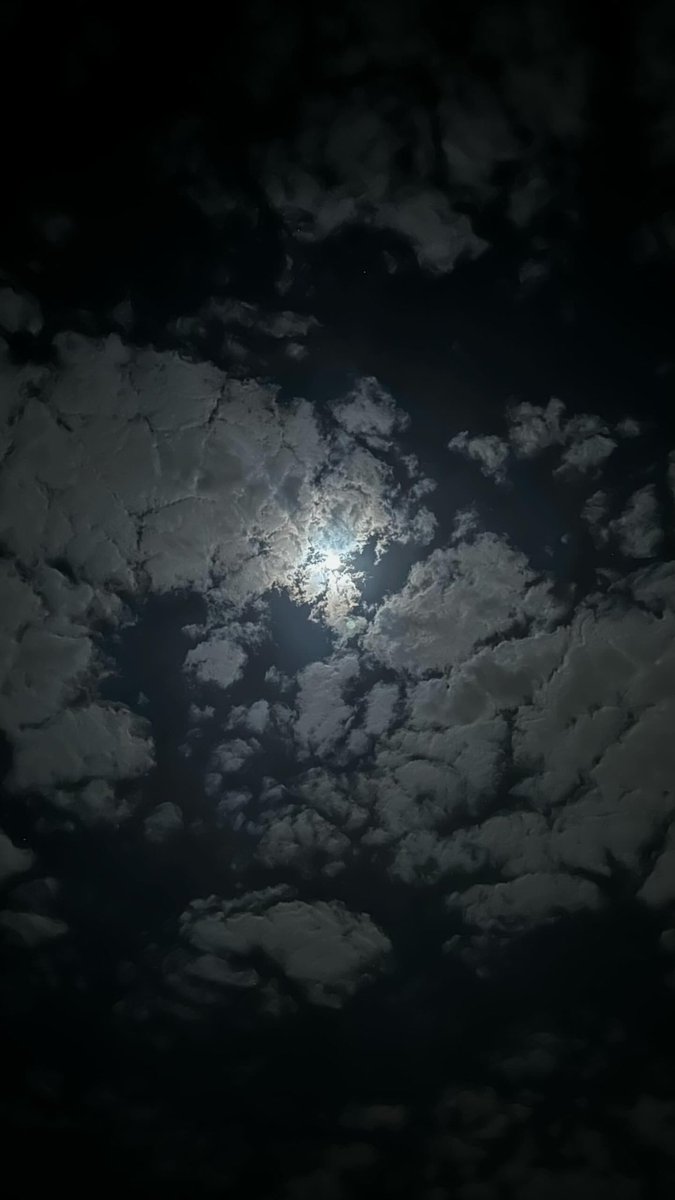 سود العيون الي محاجرها وساع
ماكنها الى البدر في وسط الشهر

وحلو المباسم والتغنج والمياع
 هي الي جابت للبني كل القهر