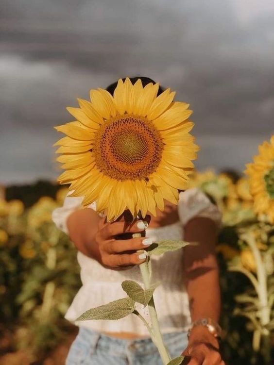 ╔══╗ ║═╦╩╦╗╔╗╔═╦╦╦╗ ║╔╣╬║╚╣╚╣╬║║║║ ╚╝╚═╩═╩ ═ ╩═╩══╝ 

★.•* °*✧★ 🌻★.•*°*✧★

<a href="/SolSDV/">Sol🌻</a>

★.•*°*✧★ 🌻★.•*°*✧★

 #DomingoPazEAmorSDV