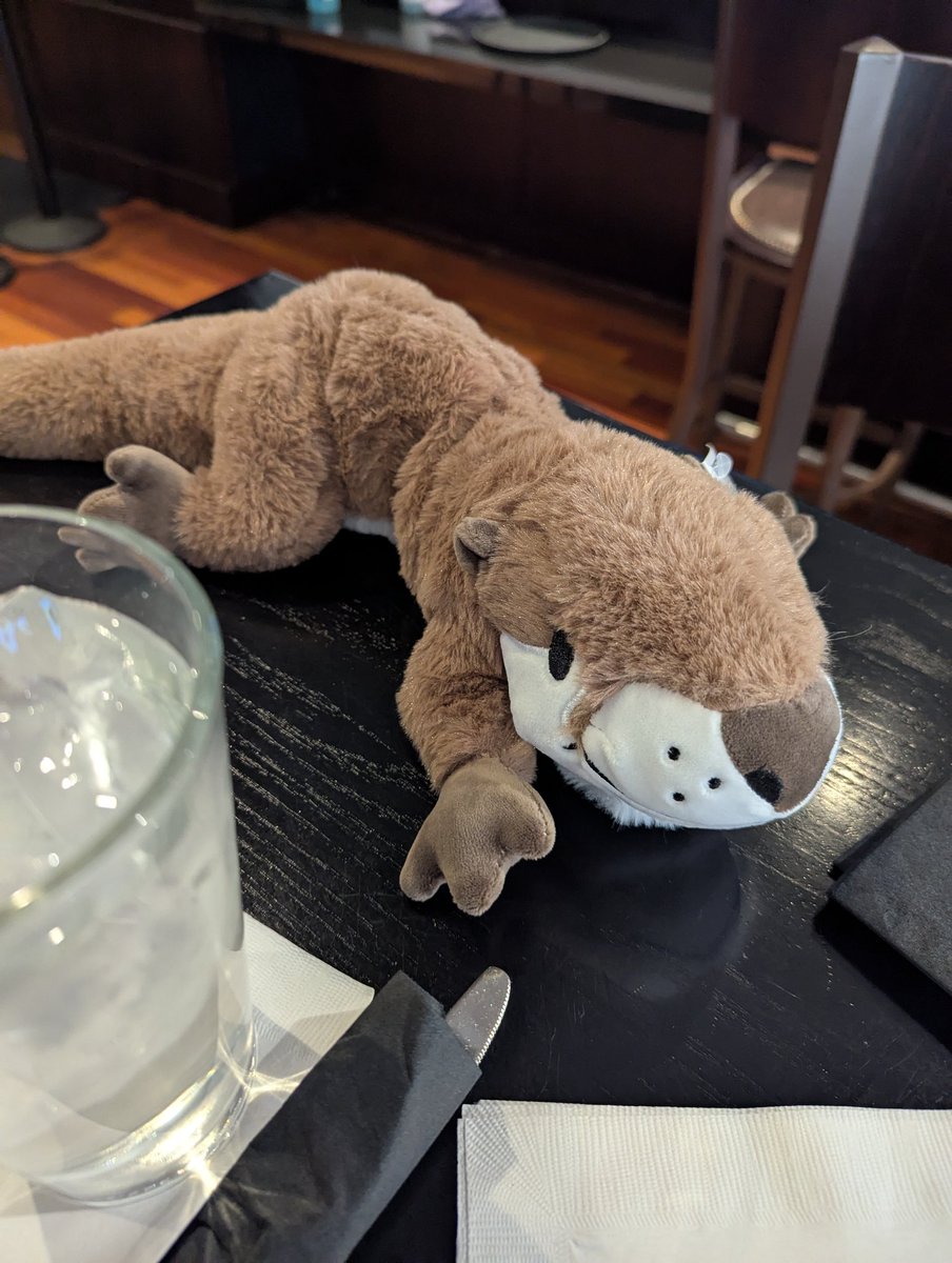 Meal time with <a href="/weightedwildlif/">Weighted Wildlife 🔜 TFF</a> otter #TFF2025