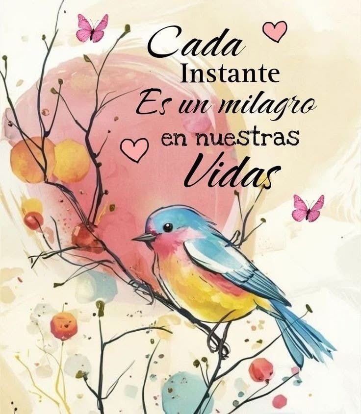 Míri@m (@miriambms7) on Twitter photo 