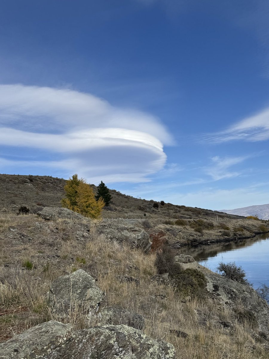 Dr Phil Walters tweet media