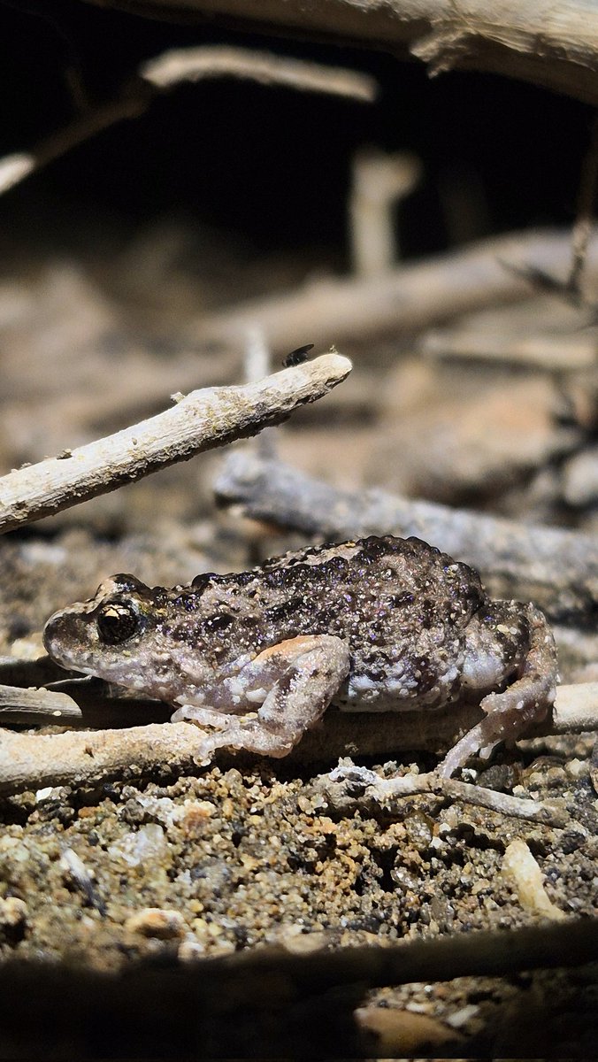 Robin Sinclair tweet media