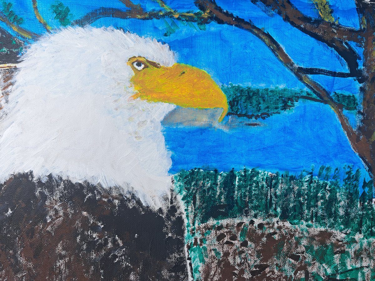 dsutton24's tweet image. Mama Eagle Jackie keeping watch over her eaglets in nest high above Big Bear Lake, CA.